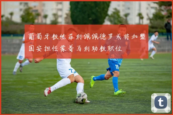 葡萄牙教练菲利佩佩德罗或将加盟国安担任蒙哥马利助教职位