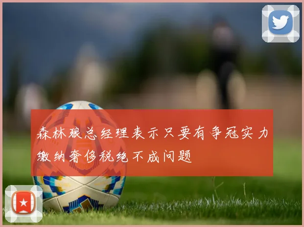 森林狼总经理表示只要有争冠实力缴纳奢侈税绝不成问题